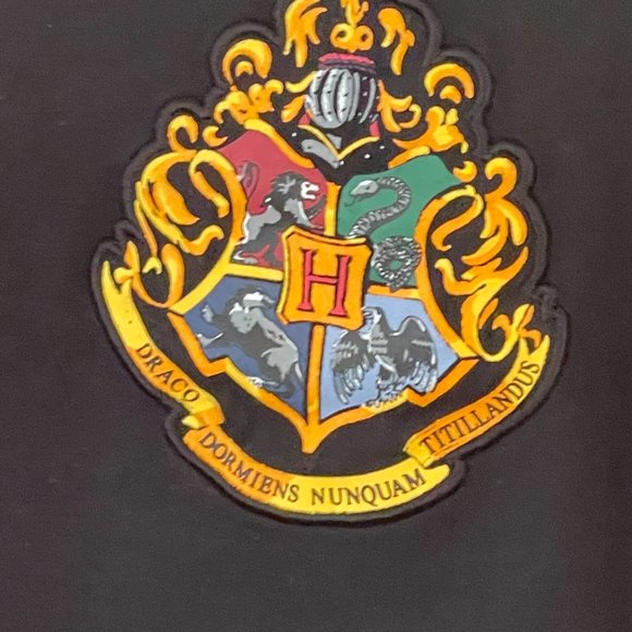 Harry Potter Triwizard Tournament Quidditch Jersey from Universal Studios - Picture 4 of 5